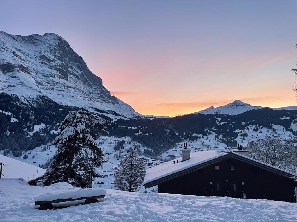 Eiger View Alpine Lodge Grindelwald Esterno foto
