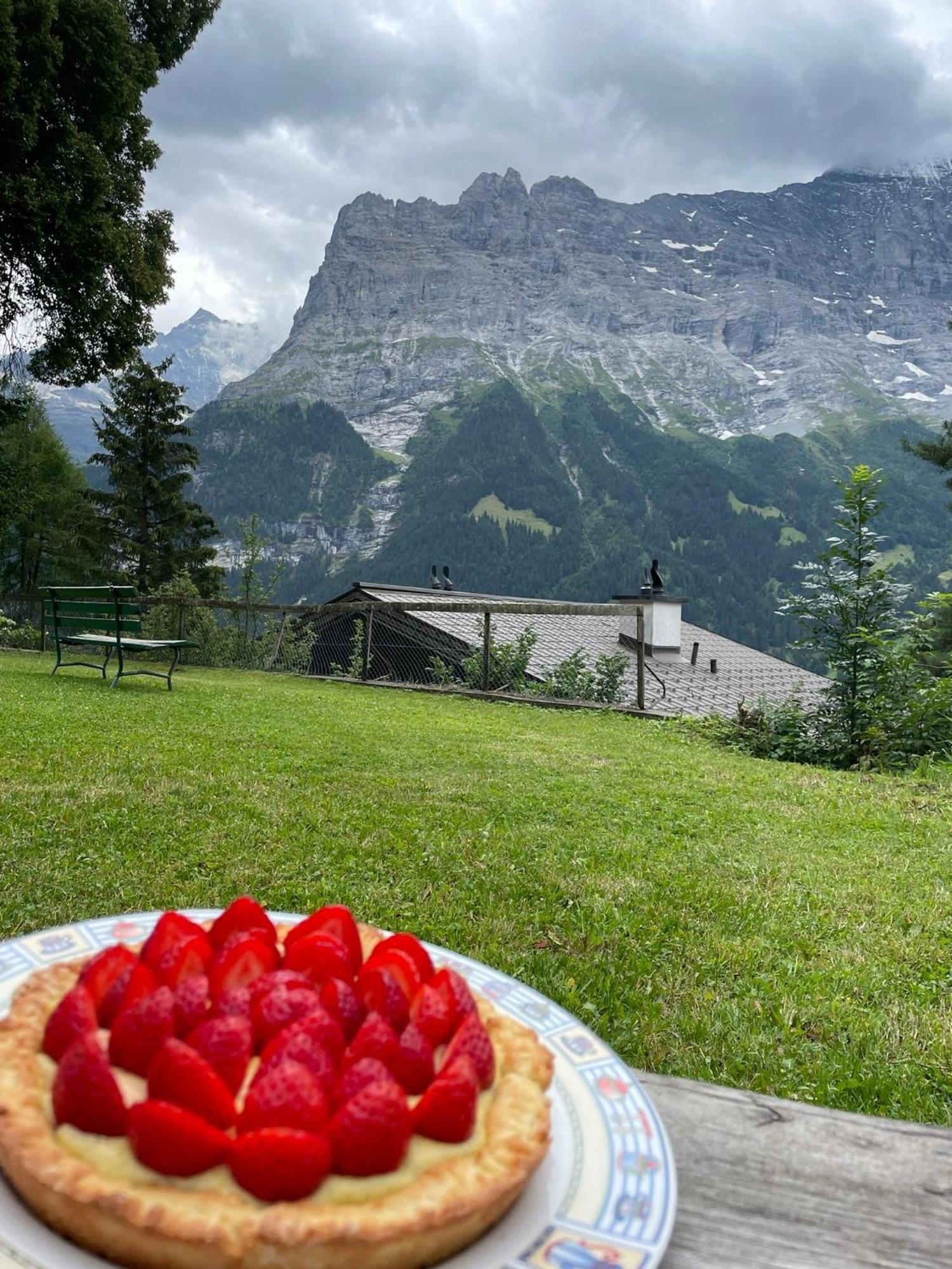 Eiger View Alpine Lodge Grindelwald Esterno foto